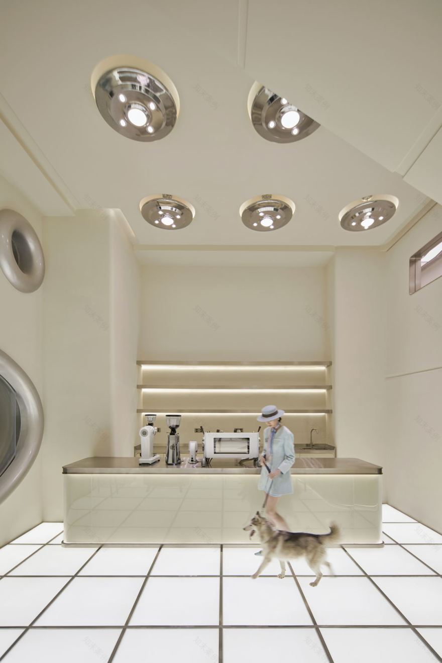 bibu宠物店丨中国广州丨今朝风日好ofD-9