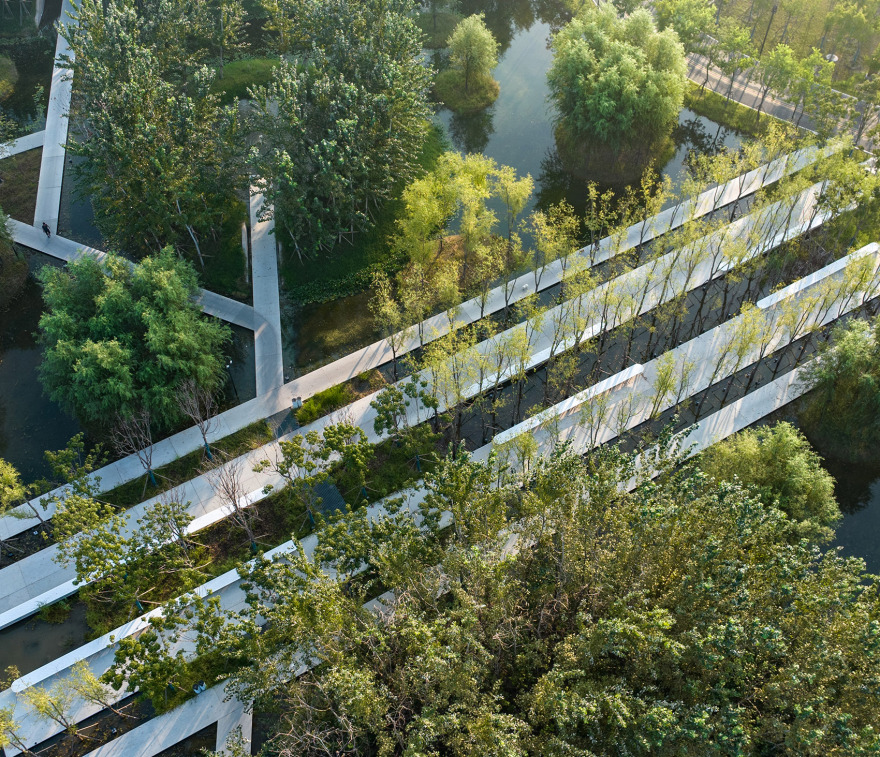 周口淮阳伏羲文化公园丨中国周口丨土人设计-22