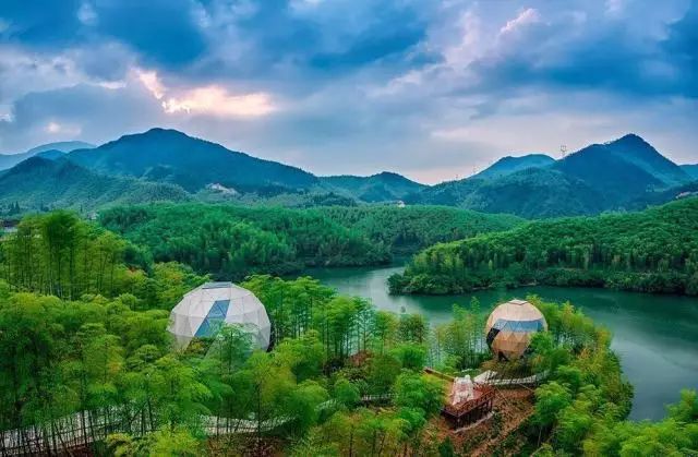 竹海里的零碳星球就在这里别致的绽放-5