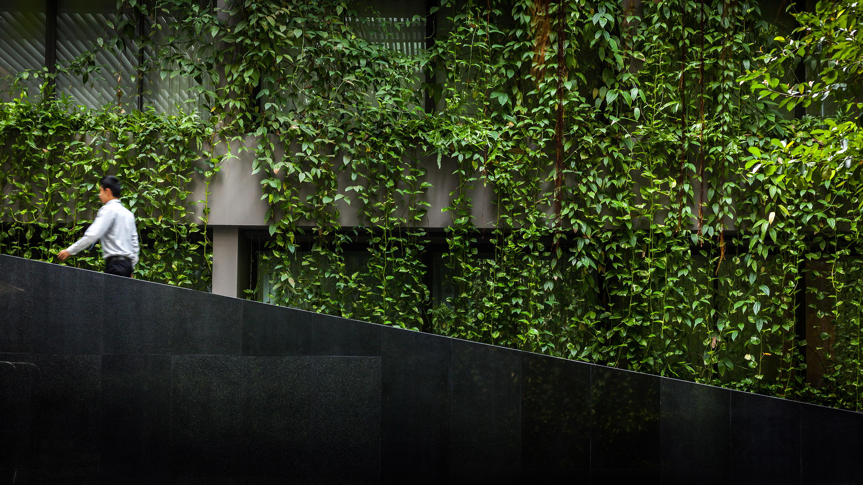 曼谷繁华区的绿色秘境 | 榕树下的 Ad Lib 酒店花园-28