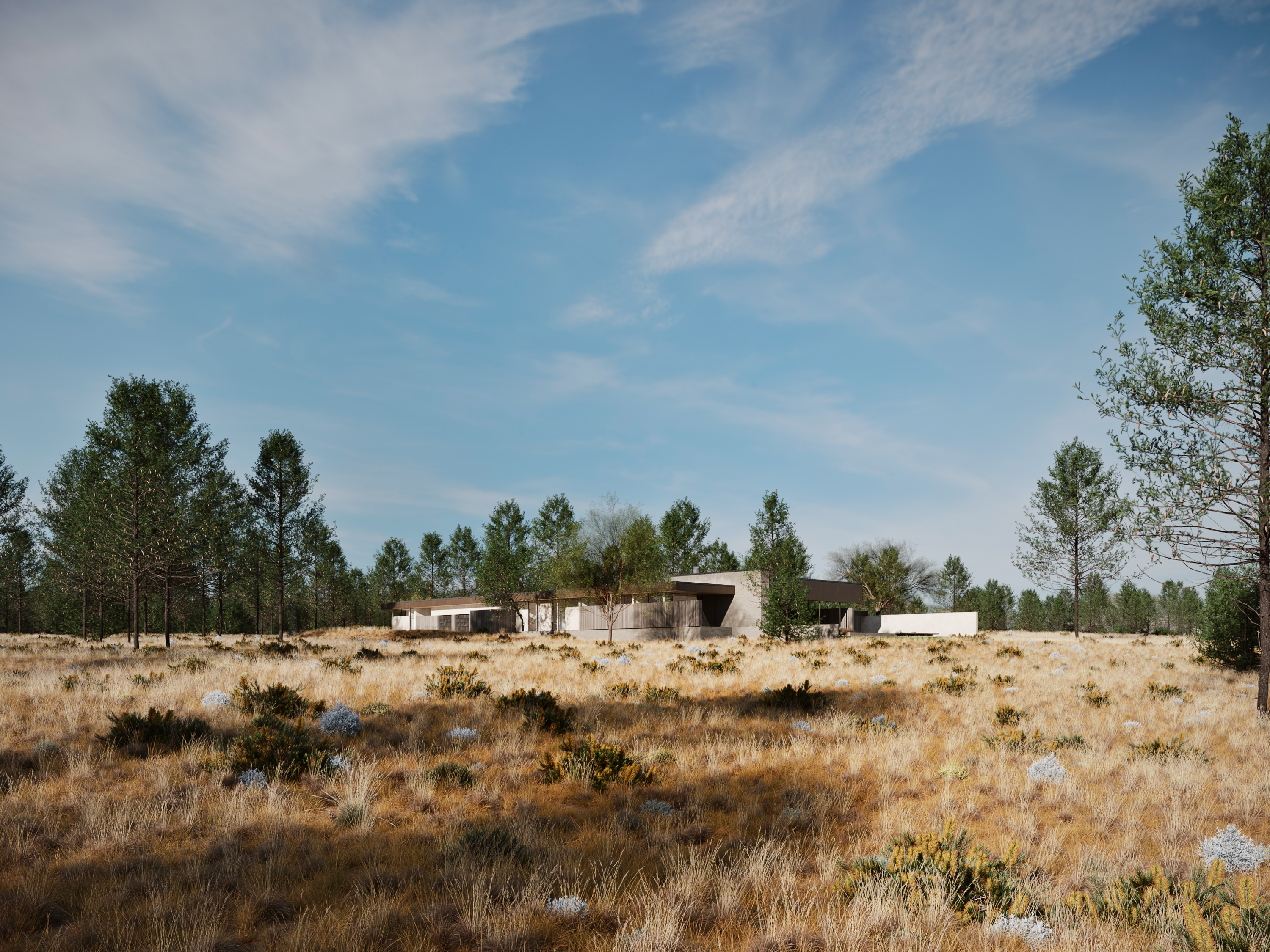 西门；西大门；西港（具体含义需结合语境判断，这里按常见释义给出） 丨Eric Meglasson,Hālō Studio-3