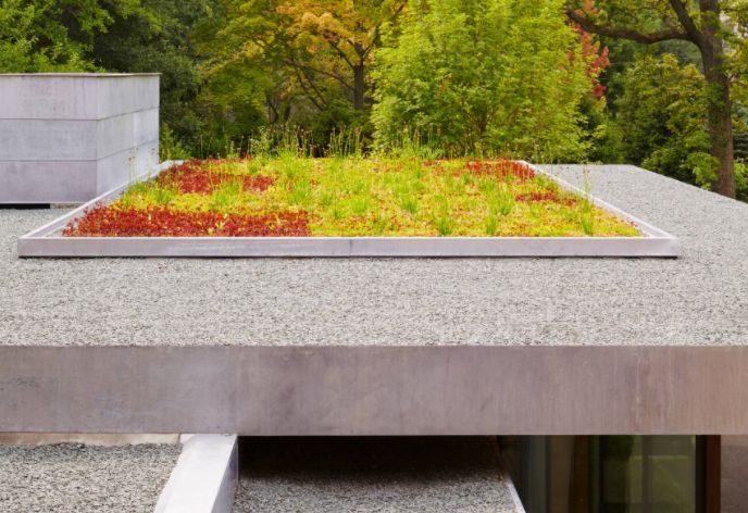 屋顶花园养护攻略 | 绿化、防水、修剪一网打尽-29