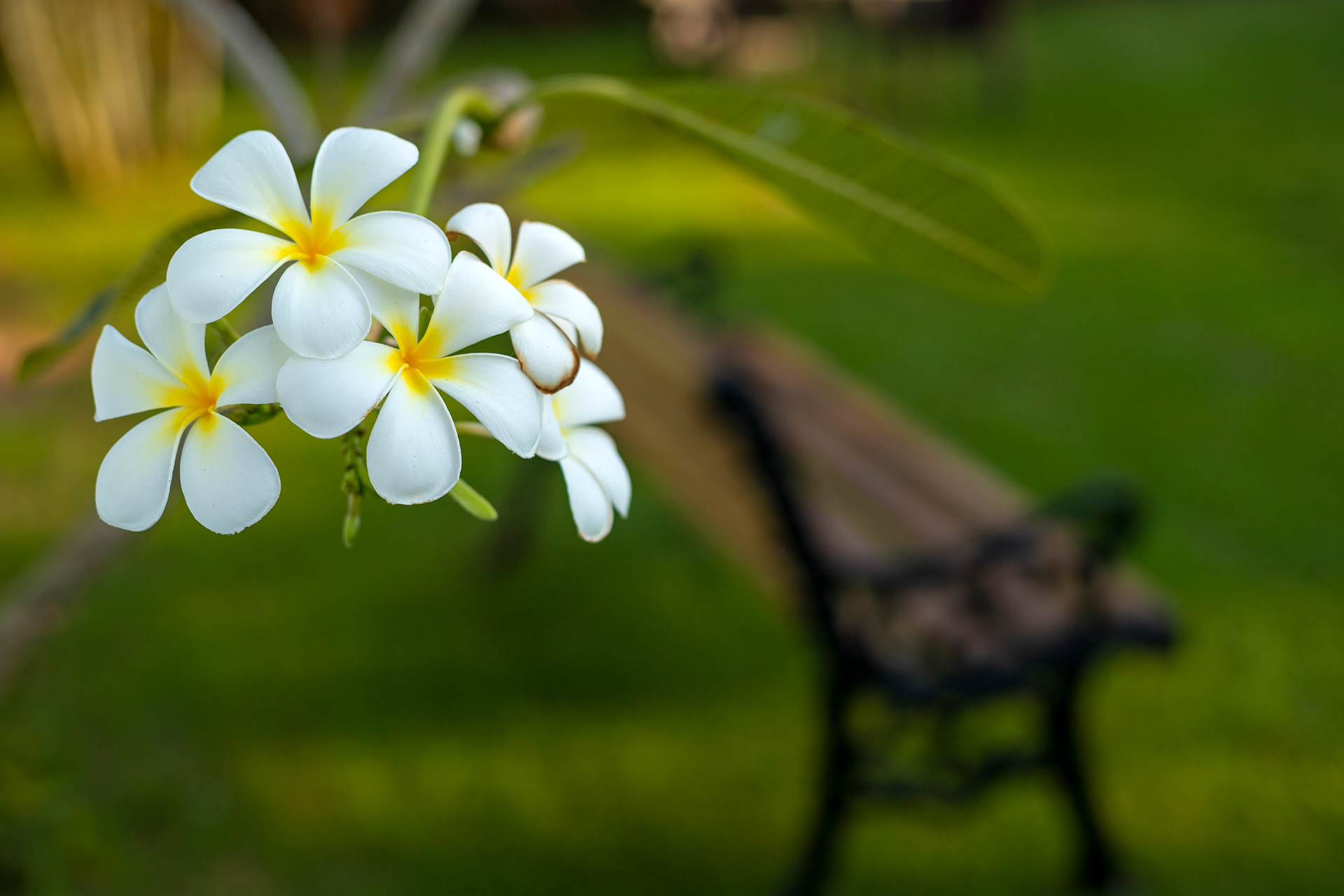 Hospitality/Architecture / Interior- 7-11