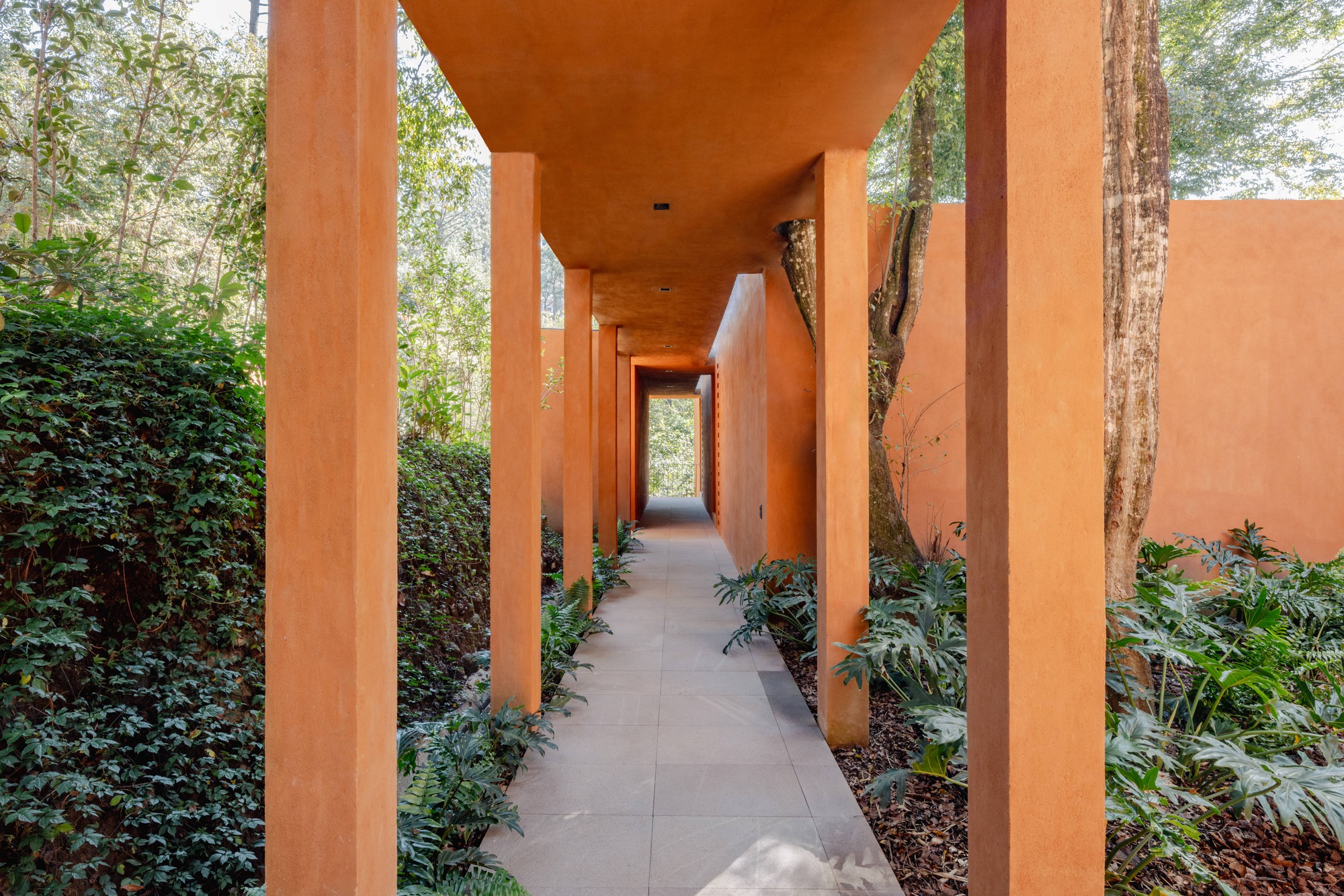 弗隆达尔宅邸丨墨西哥丨Taller MRD-18