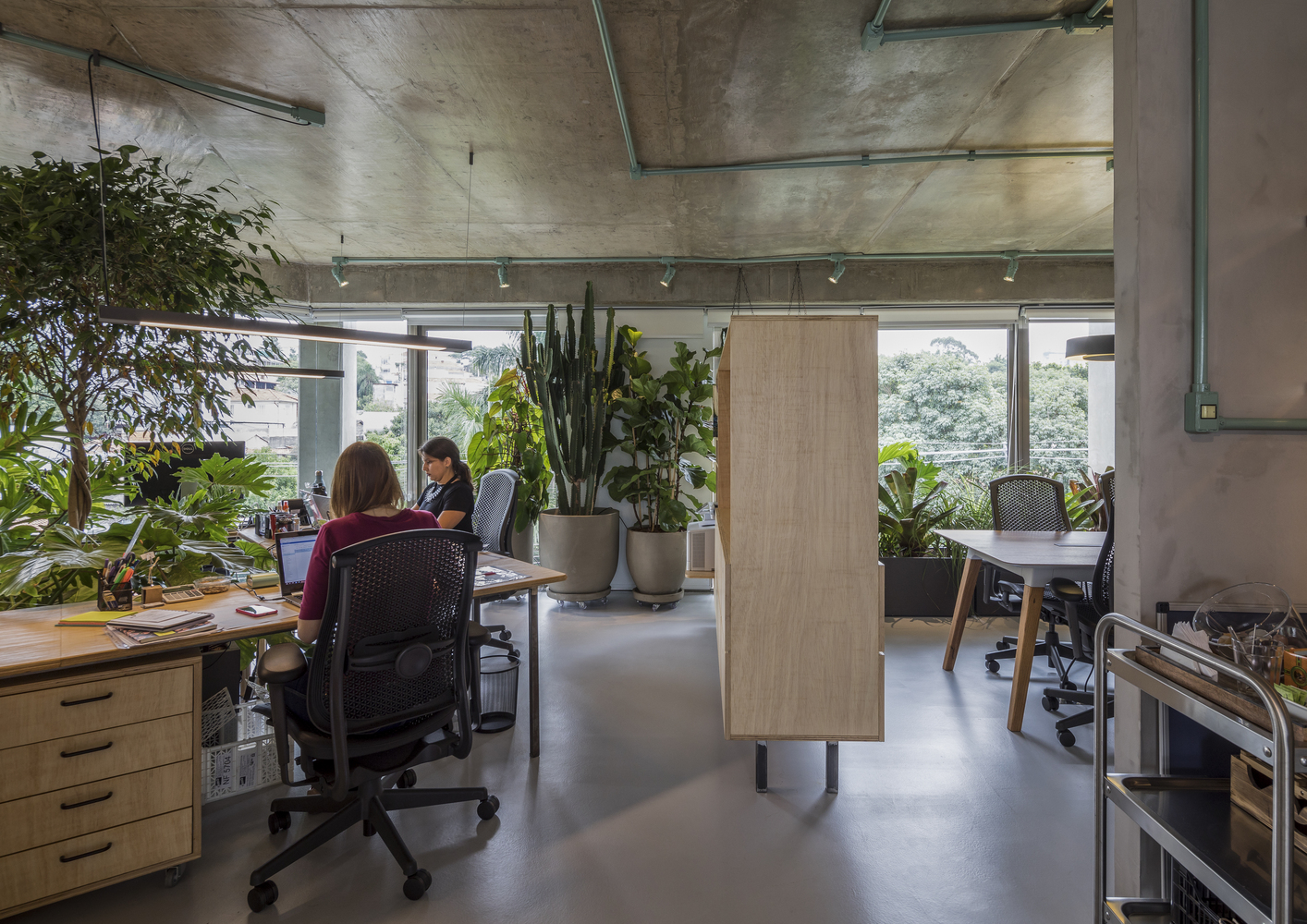 巴西 Rizoma 品牌办公室的“都市丛林”设计-24