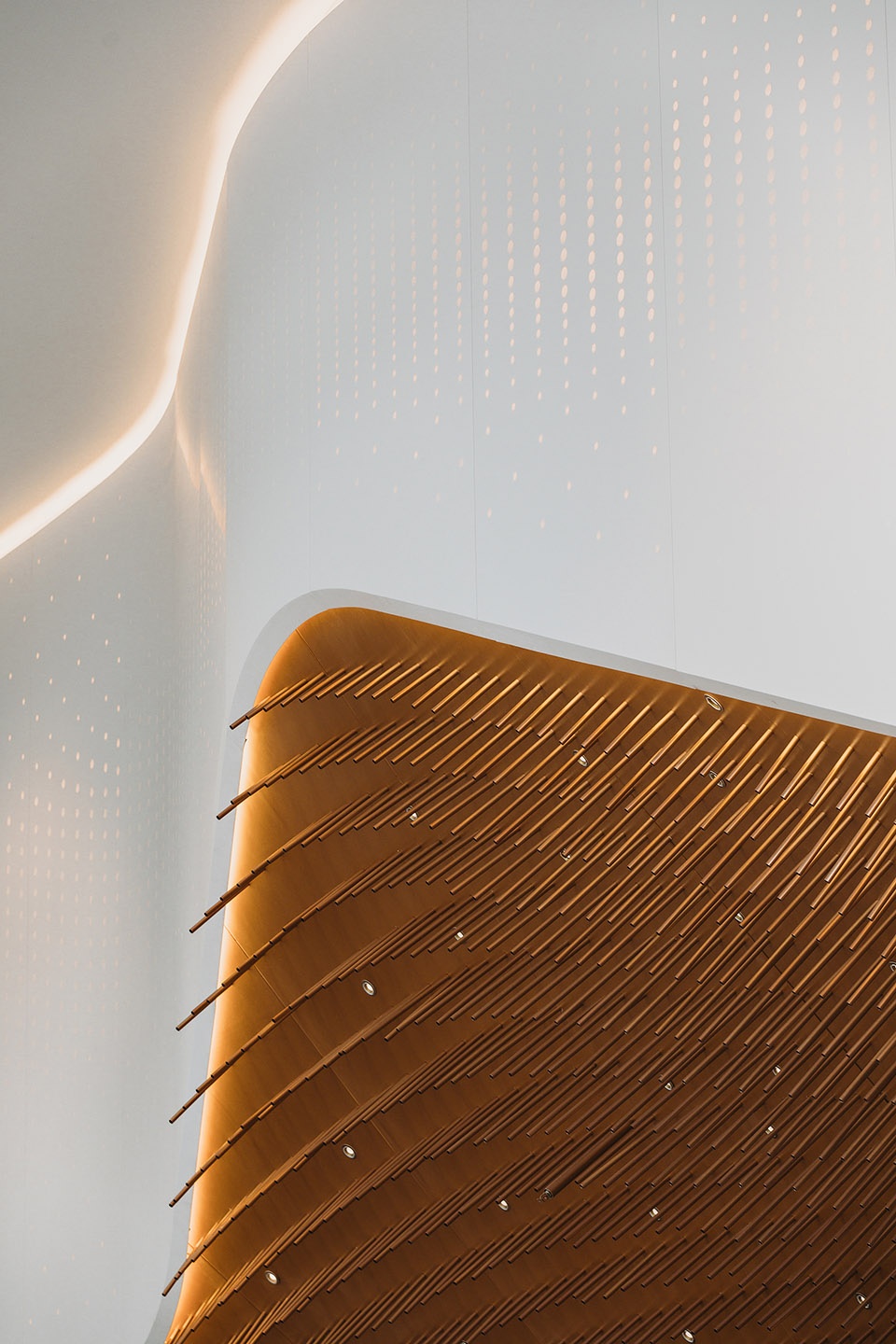 阿姆斯特丹 UNStudio 大楼大厅翻新，灵活互动新环境-27