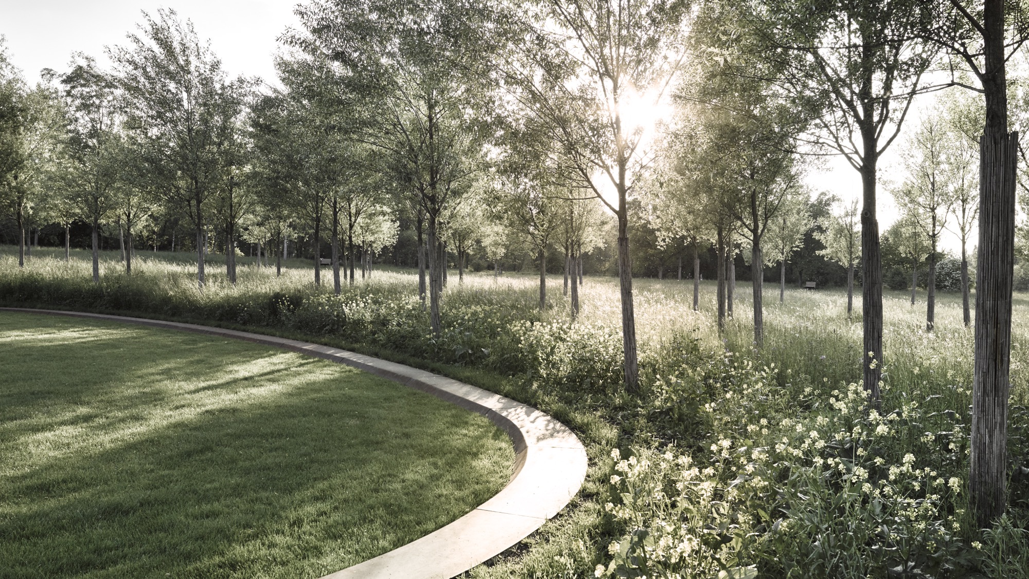 Waiblingen 公园新核心设计丨德国-9