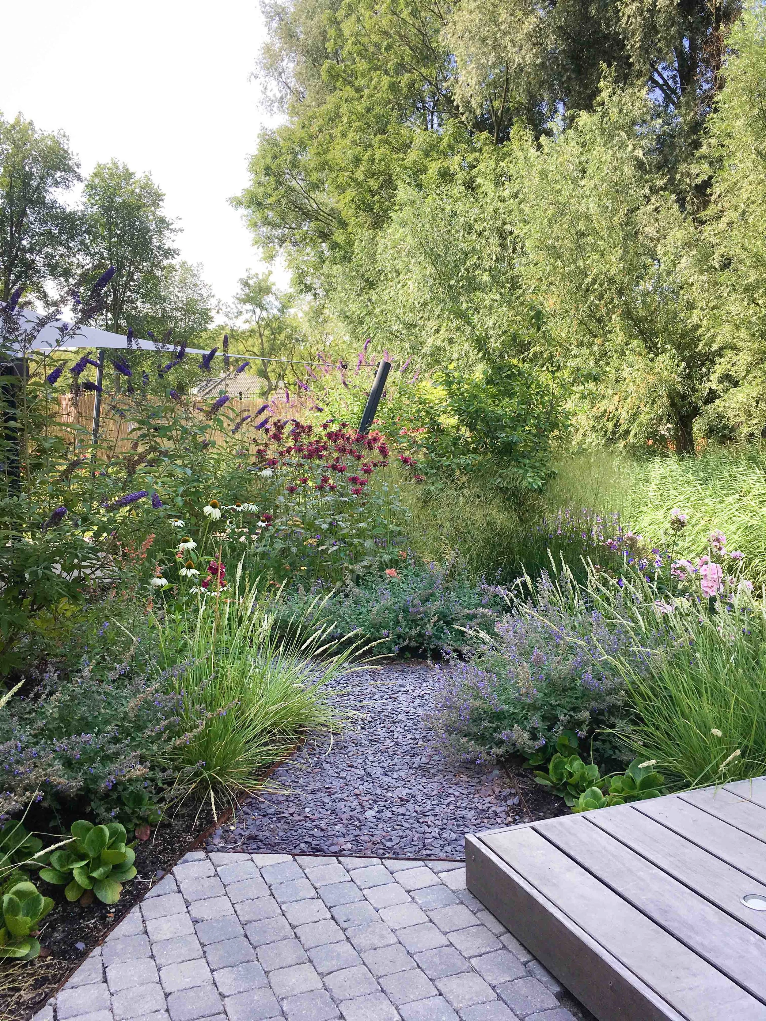 阿姆斯特丹野生花园丨荷兰阿姆斯特丹-5