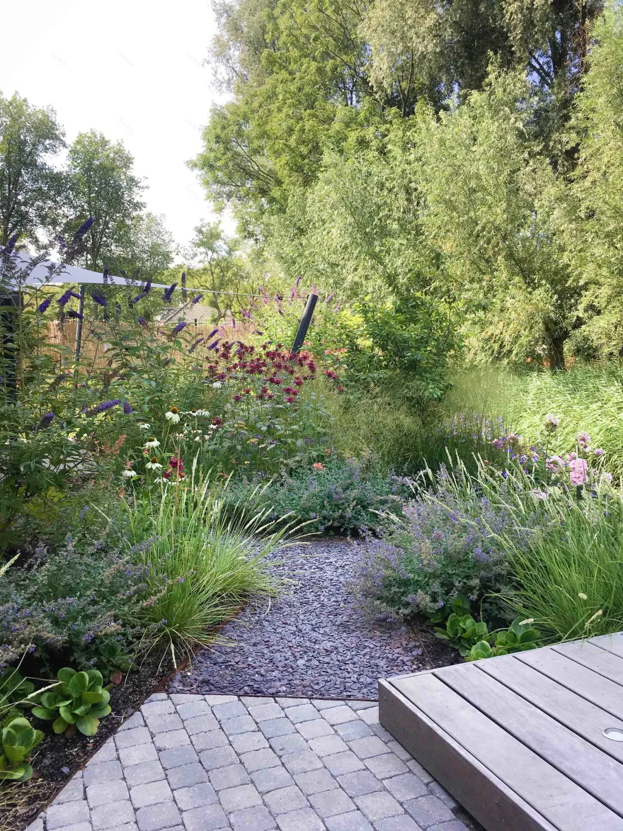 阿姆斯特丹野生花园丨荷兰阿姆斯特丹-5