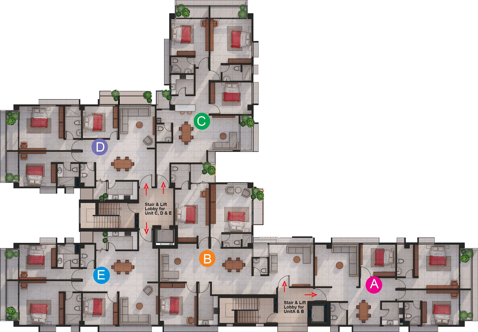 丨Mahfujul Hoque-12