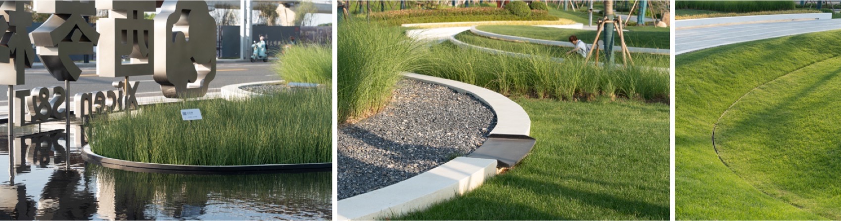 上海金泽镇培雅南路东侧绿地景观设计丨中国上海丨上海联创设计集团股份有限公司景观设计部-102