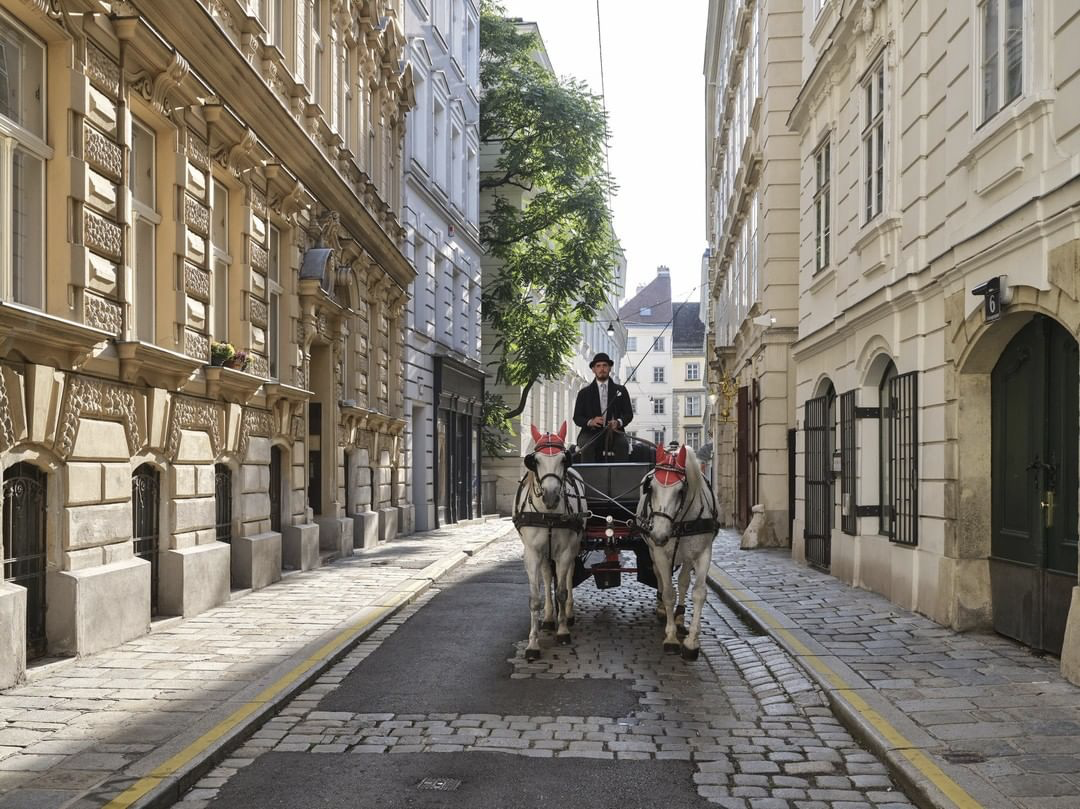 维也纳瑰丽酒店丨奥地利维也纳丨A2K,BEHF,Alexander Waterworth-46