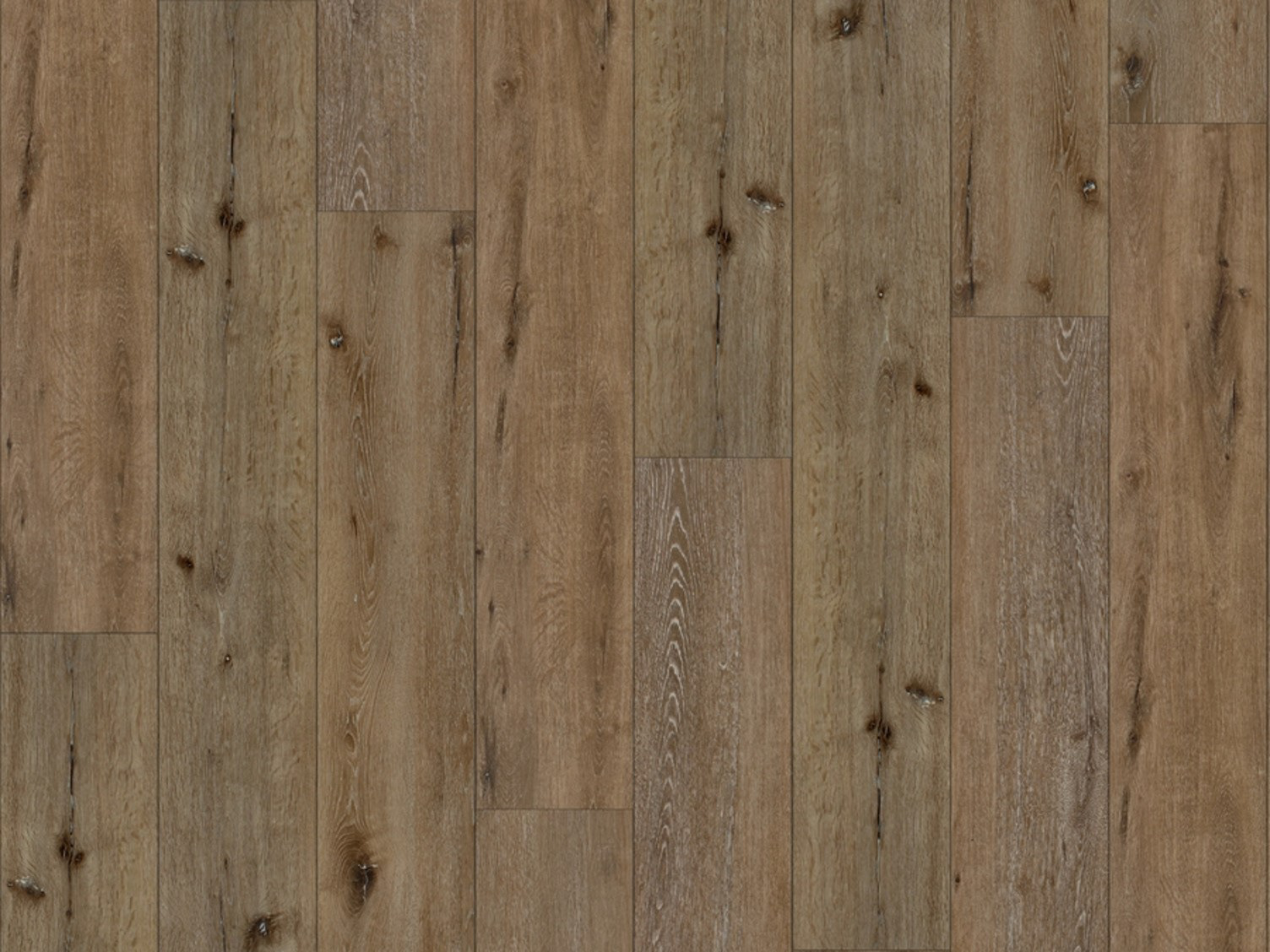 Dino Inn（恐龙旅馆重新设计项目）丨美国犹他-36