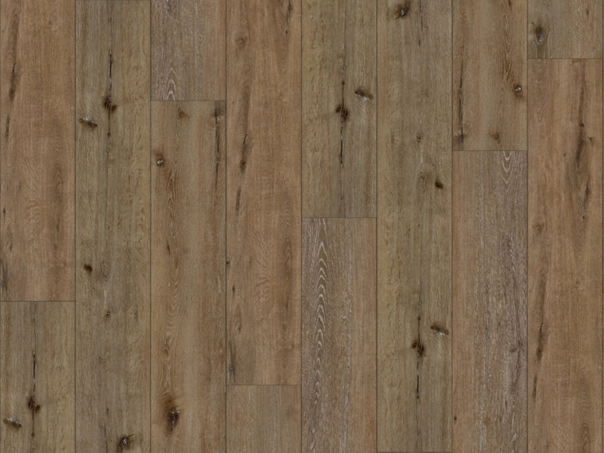 Dino Inn(恐龙旅馆重新设计项目)丨美国犹他-36