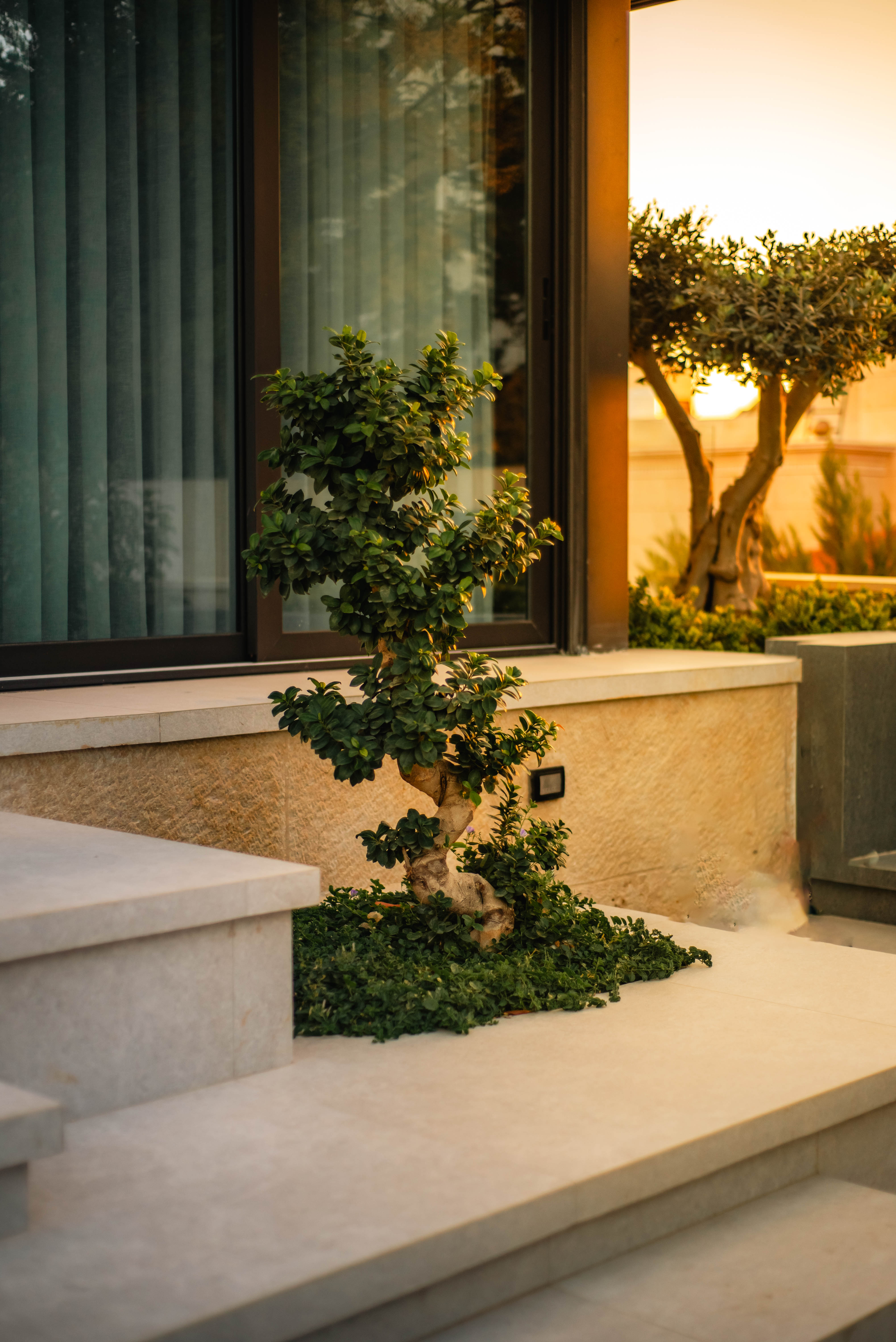 Landscape Desgin Photography-13