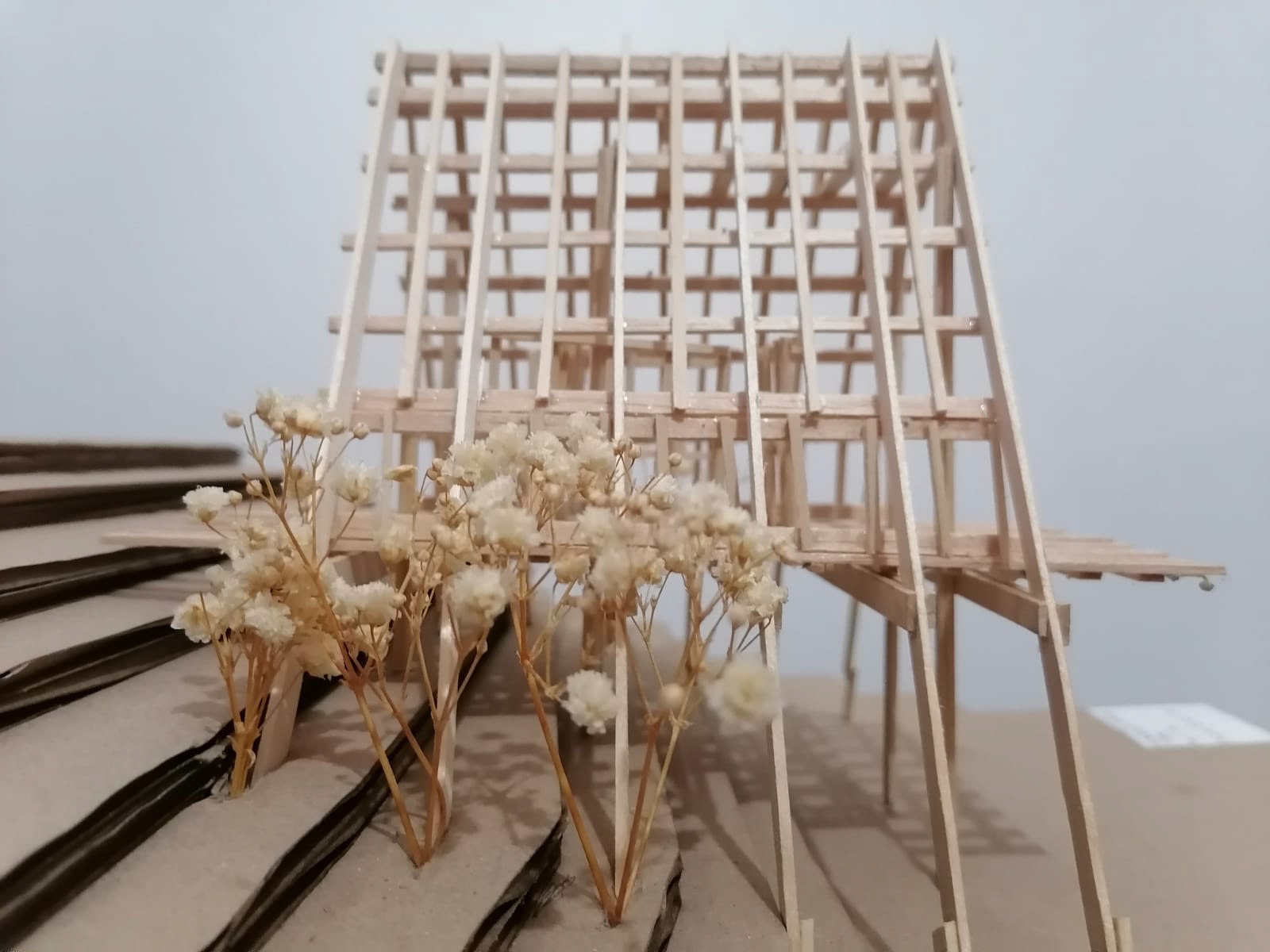 阳光房丨PAYÁN ORTEGA ITZEL-40