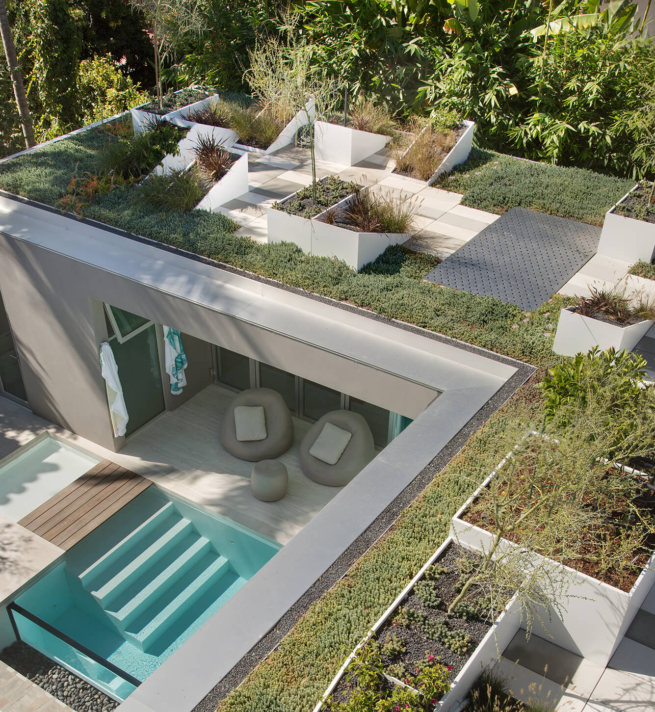 霍克·科罗纳多丨美国加利福尼亚-24