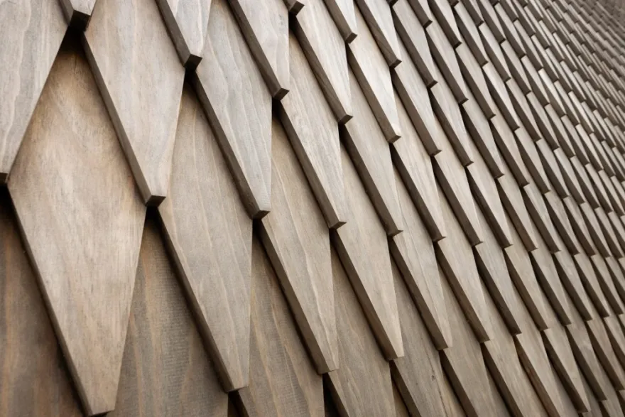 植物园访客中心「绿色方舟」 pavilion丨比利时-7