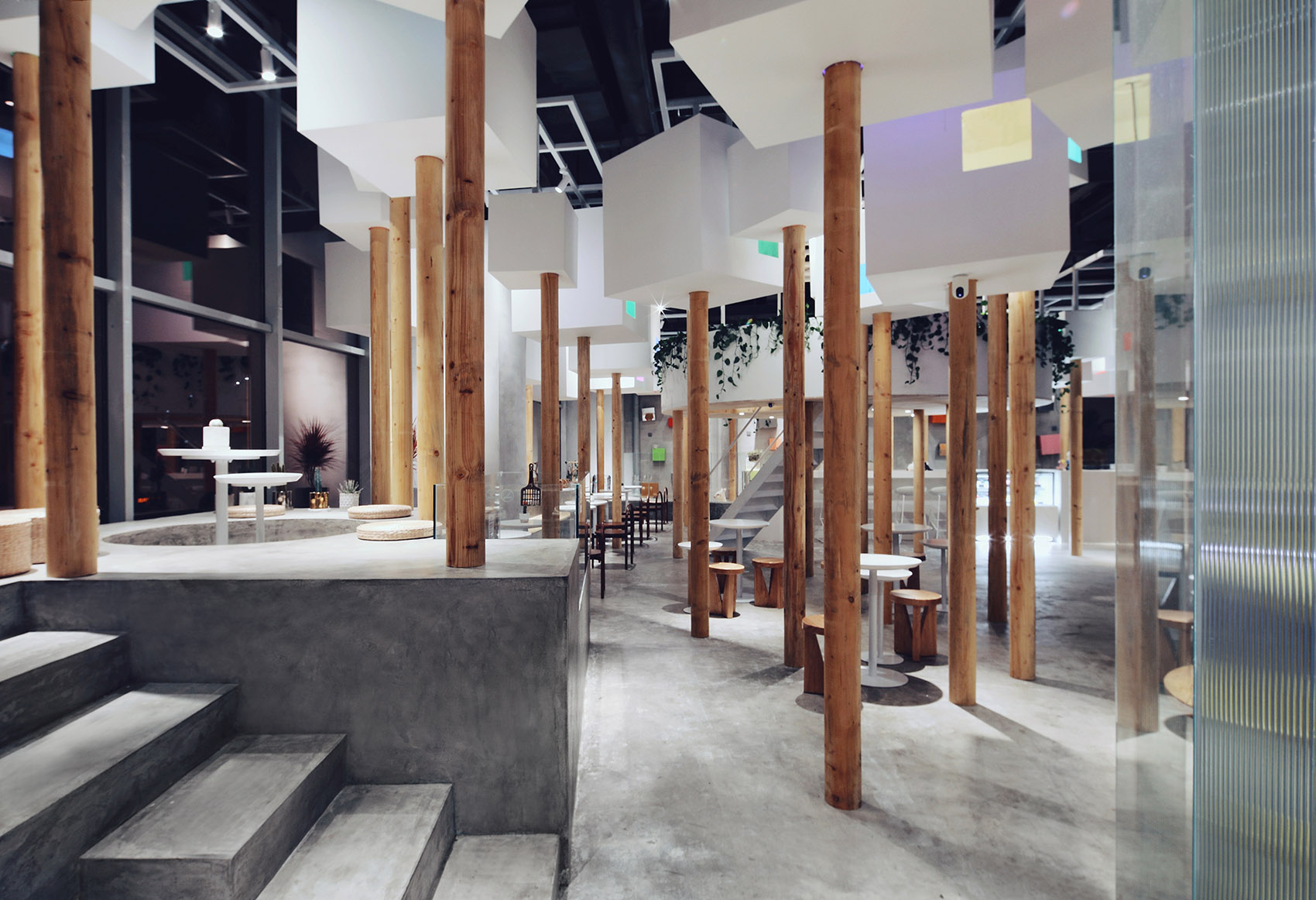 深圳TFB动物咖啡厅-23