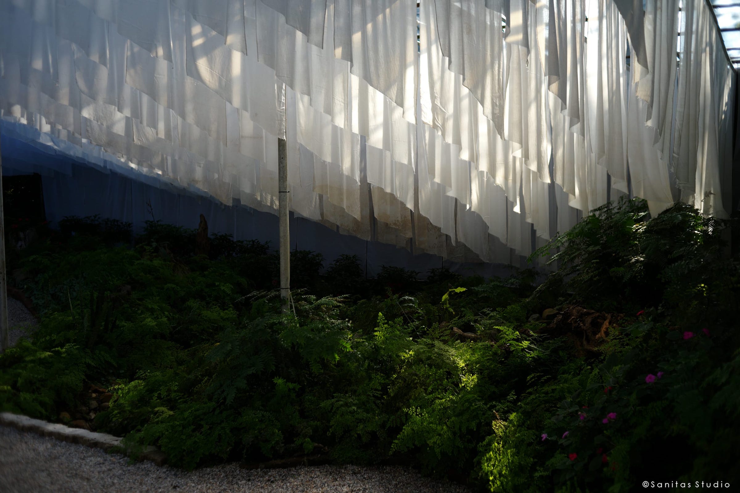 在山中,萨尼塔斯工作室-21