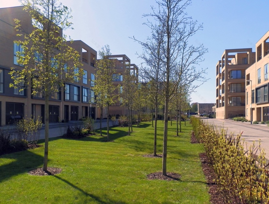 英国剑桥 Great Kneighton 住宅区景观设计丨BBUK-8