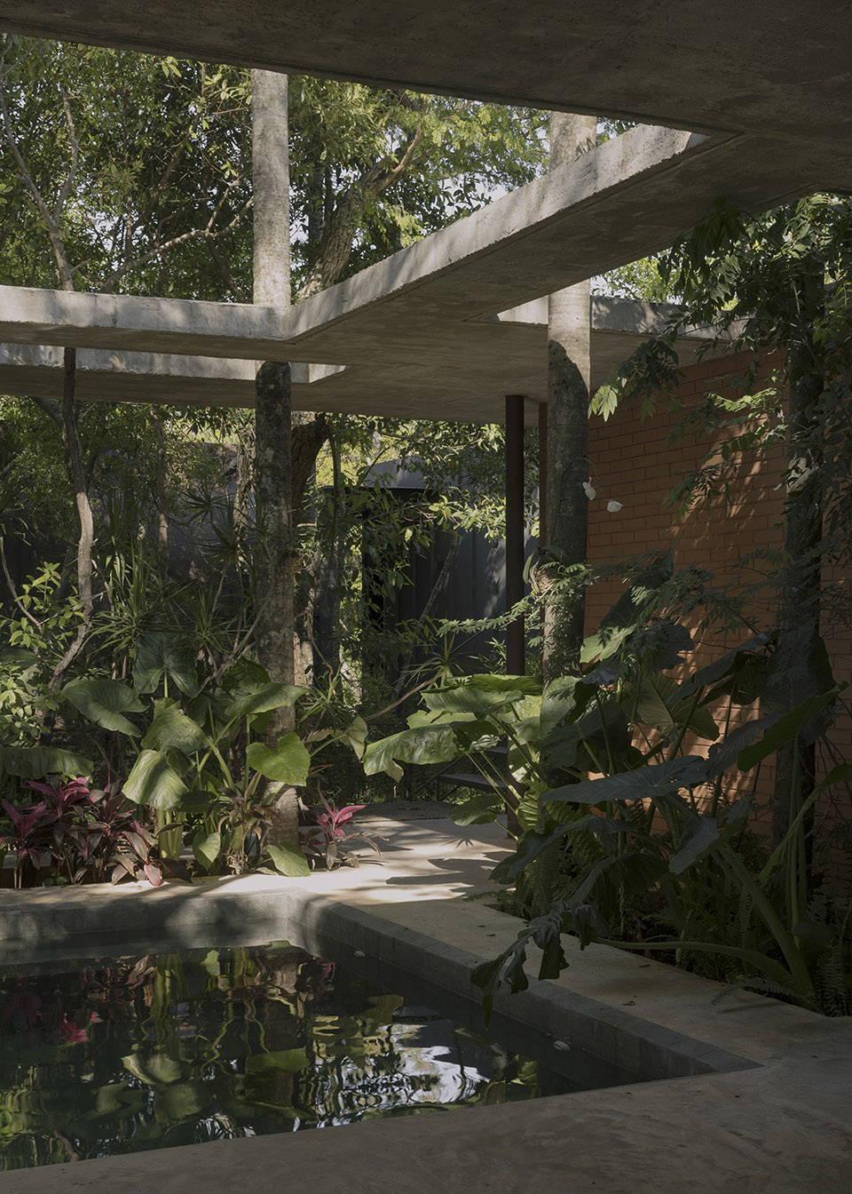 屋中森林丨巴拉圭丨Equipo de Arquitectura-52