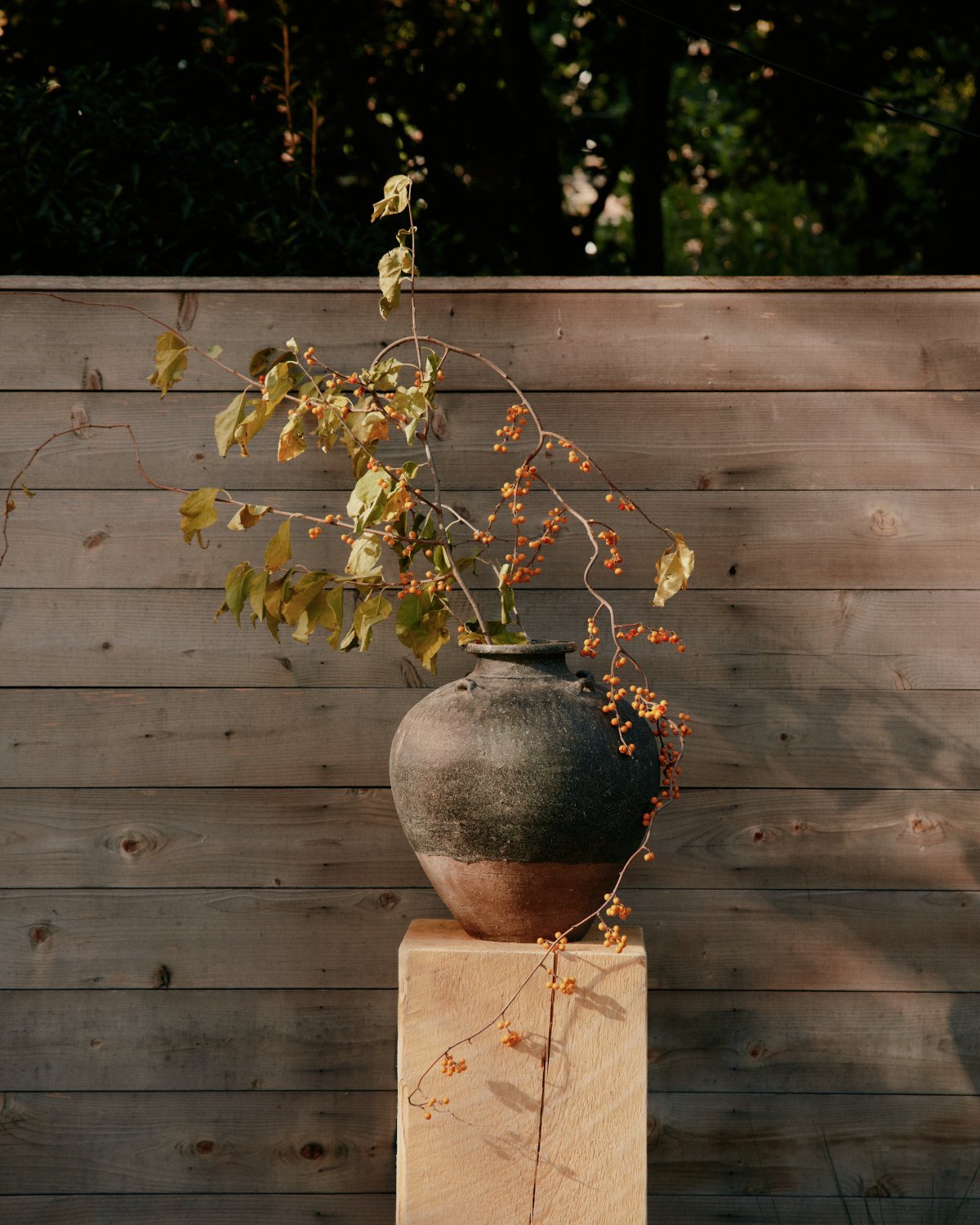 Cobble Hill 花园丨Brook 景观工作室-4