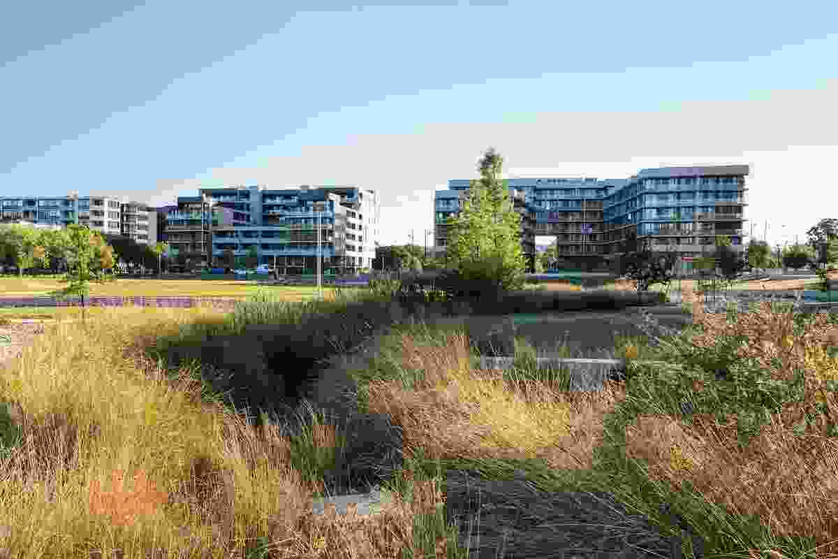 丨澳大利亚堪培拉丨Jane Irwin Landscape Architecture-63