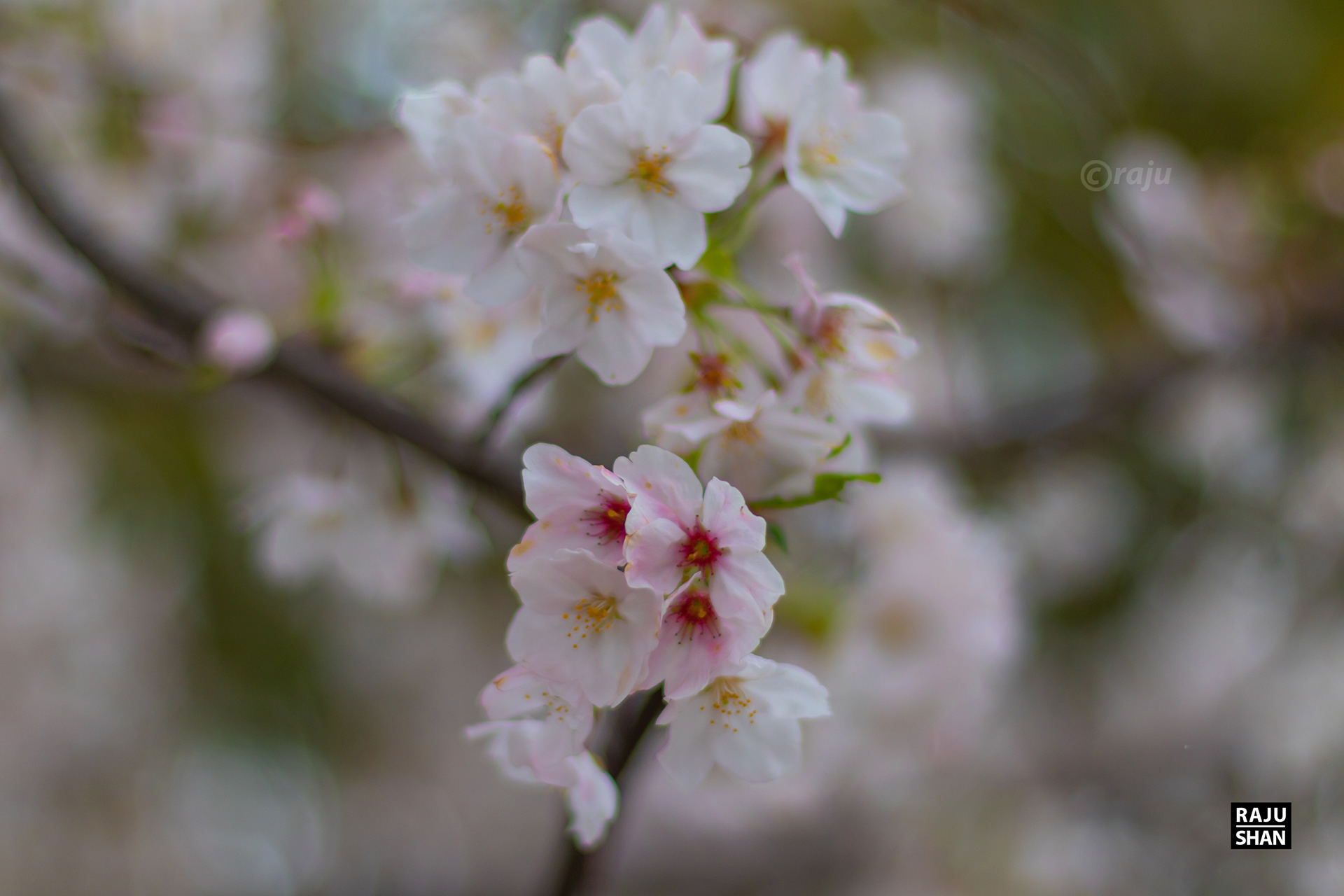杭州梦城丨中国杭州-14