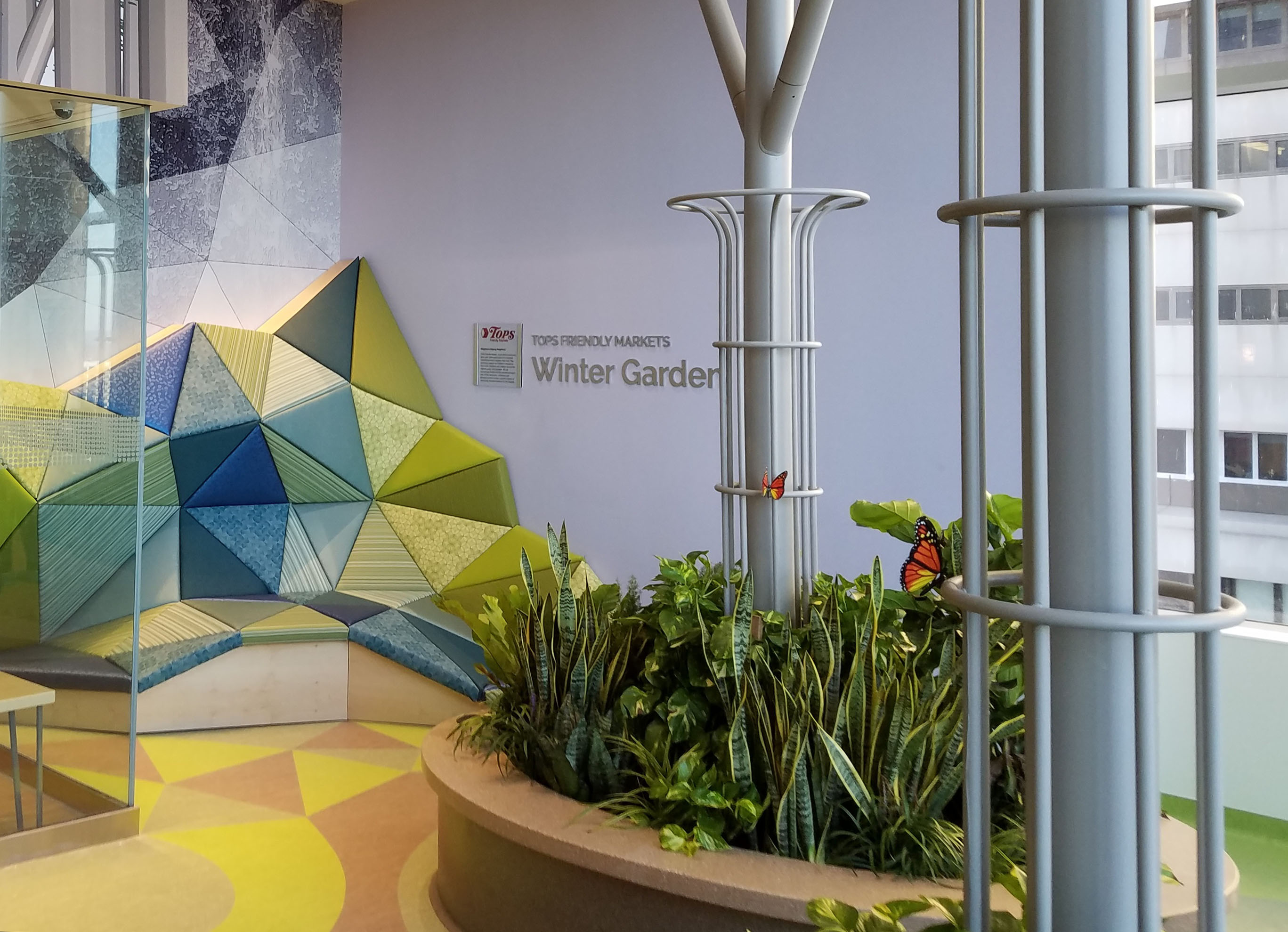 冬季花园丨design synergies architecture pc-14