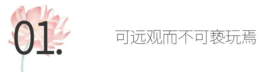 融创观河宸院 | 水墨莲城,缔造诗意人居典范-19