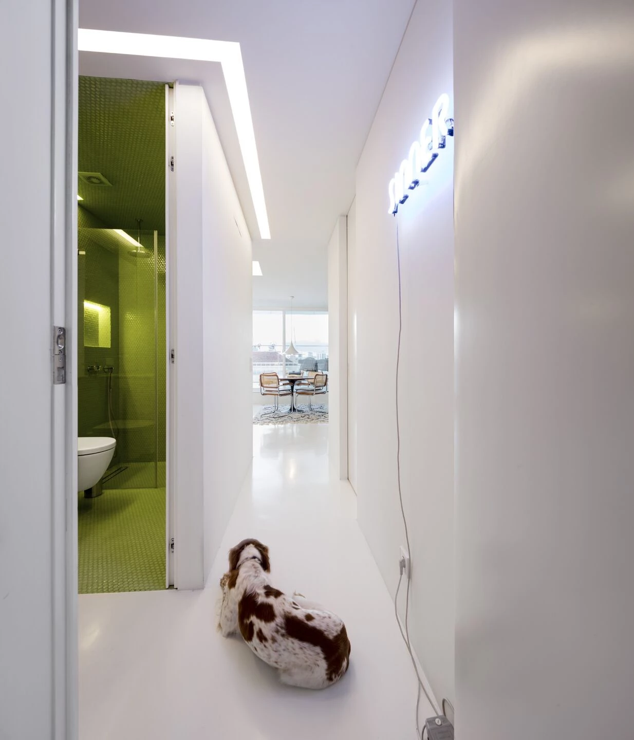 里斯本顶层公寓,白色简约风营造明亮空间-47