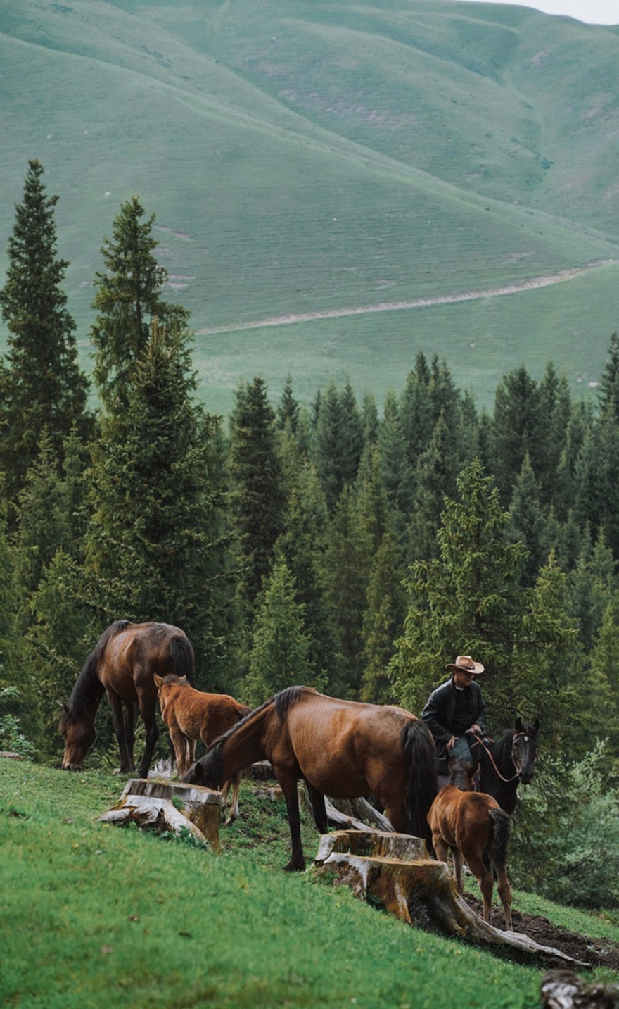 西野集·松与溪民宿丨中国伊犁丨魔匠德克空间设计-15