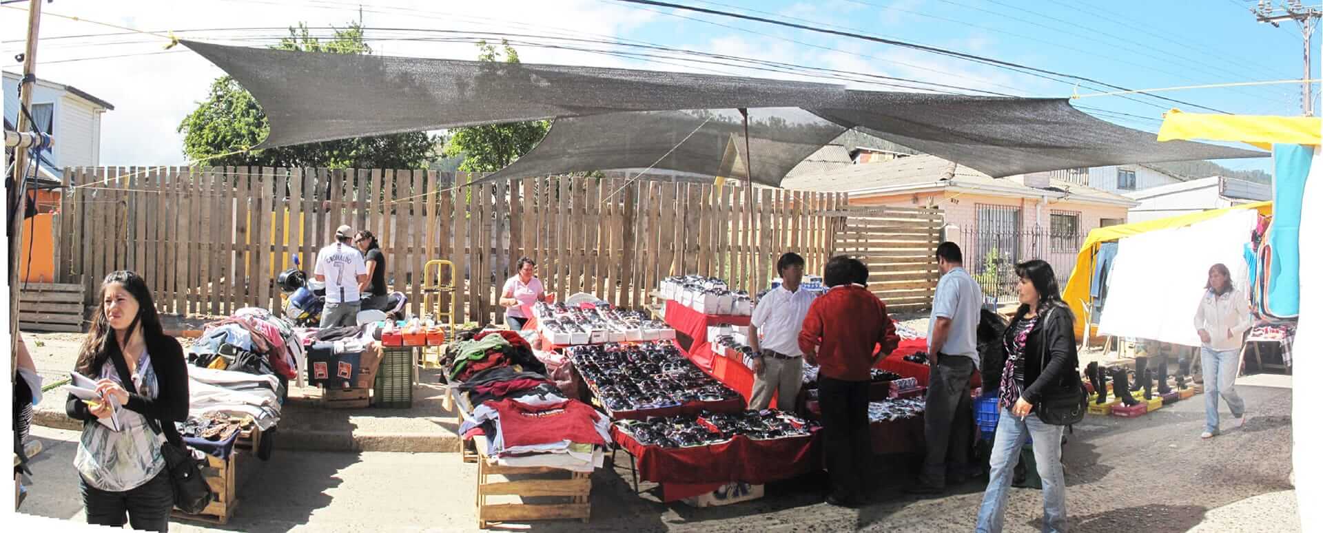 丨智利丨Zoohaus-6