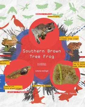 墨尔本某住宅公园图腾物种设计丨澳大利亚墨尔本