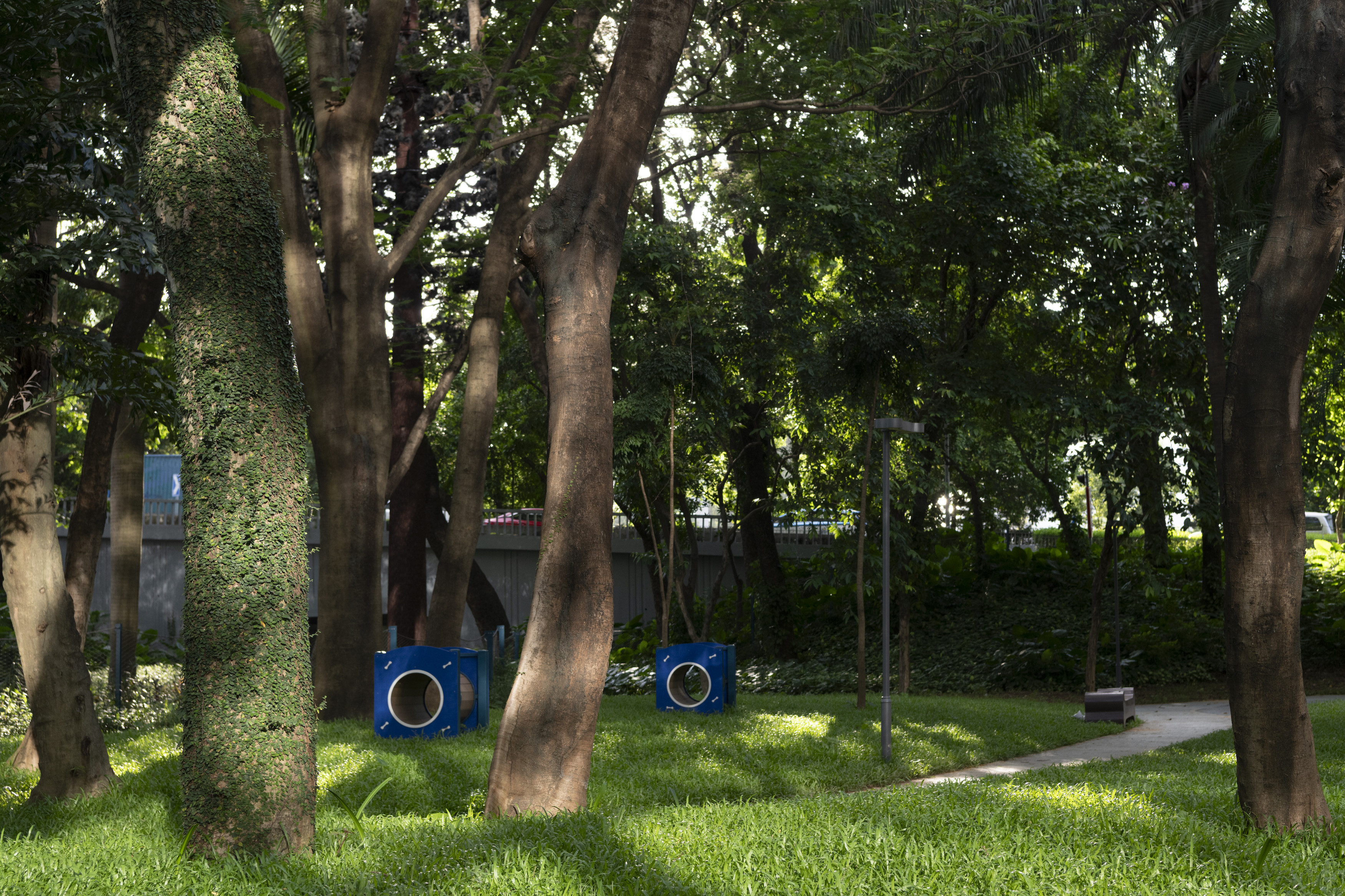 深圳市罗湖泥岗东路宠物友好口袋公园丨中国深圳丨深圳市未名设计顾问有限公司罗湖分公司（WMLA）-90