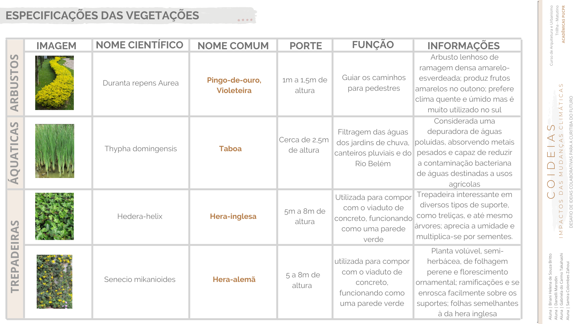 COIDEIAS - Metamorfose Resiliente-22