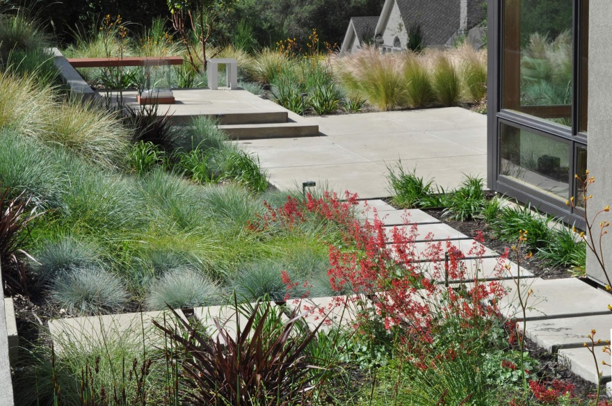 Sunol住宅景观设计丨美国-17