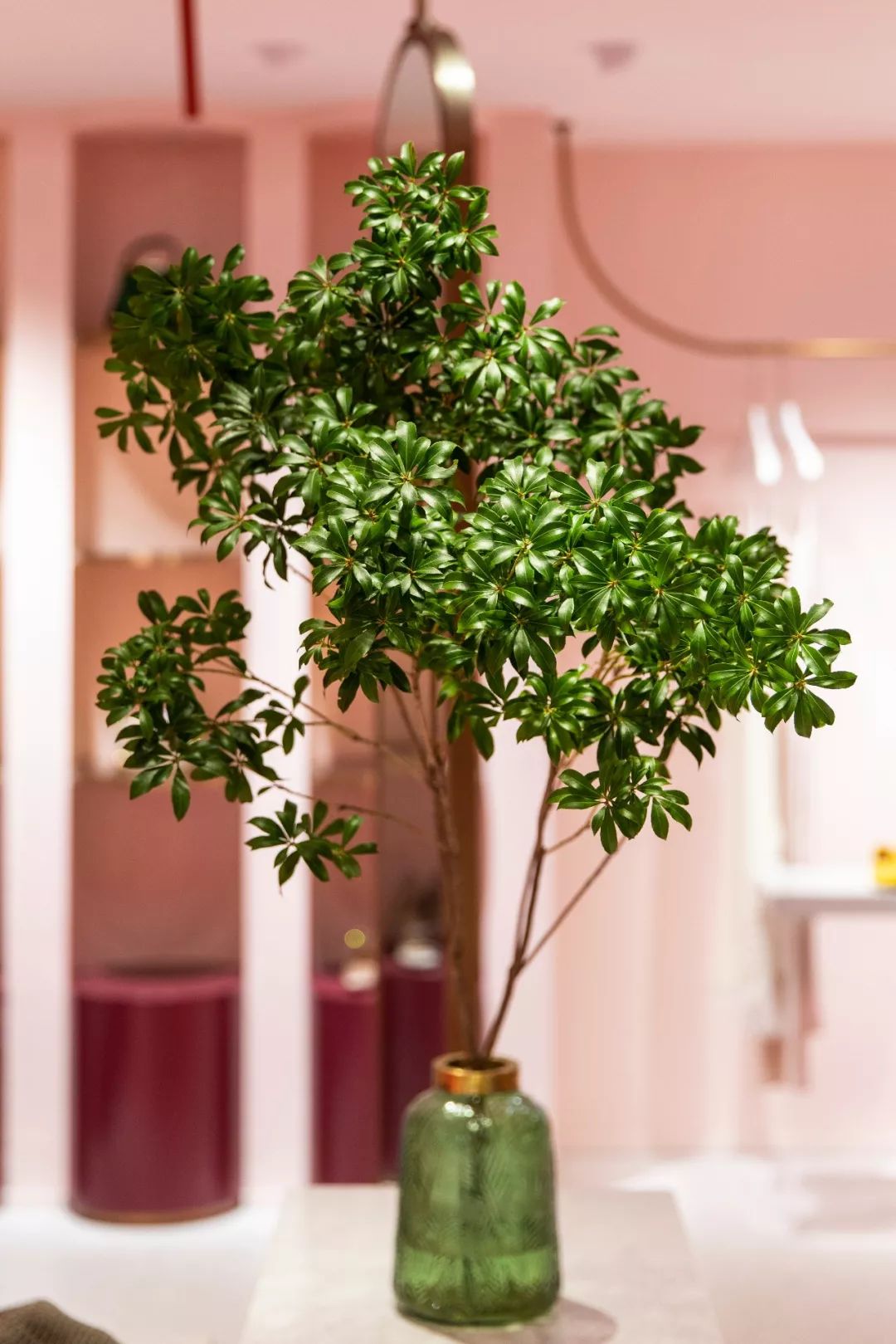 东部新城的时尚秘境——FOREVER YANG | 郑勤科-34