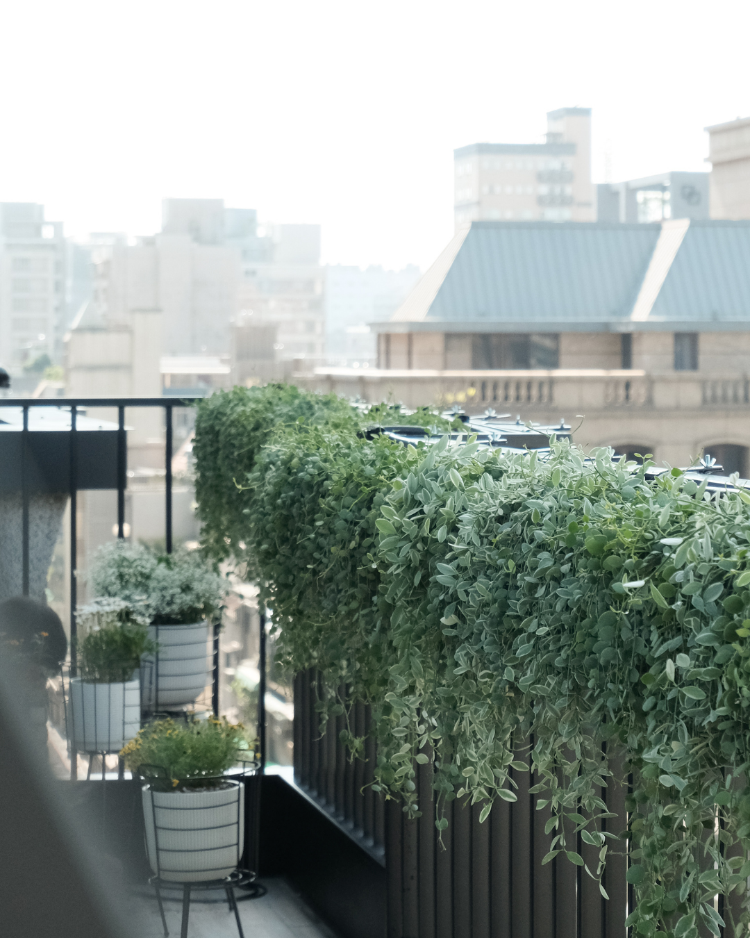 住宅案 | 大安區 | 陽台景觀設計-0