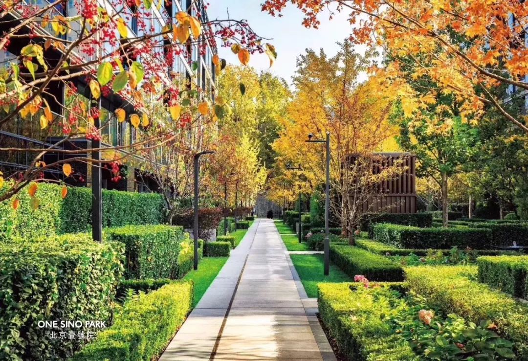 用植物营造空间氛围丨艺汉卿-28