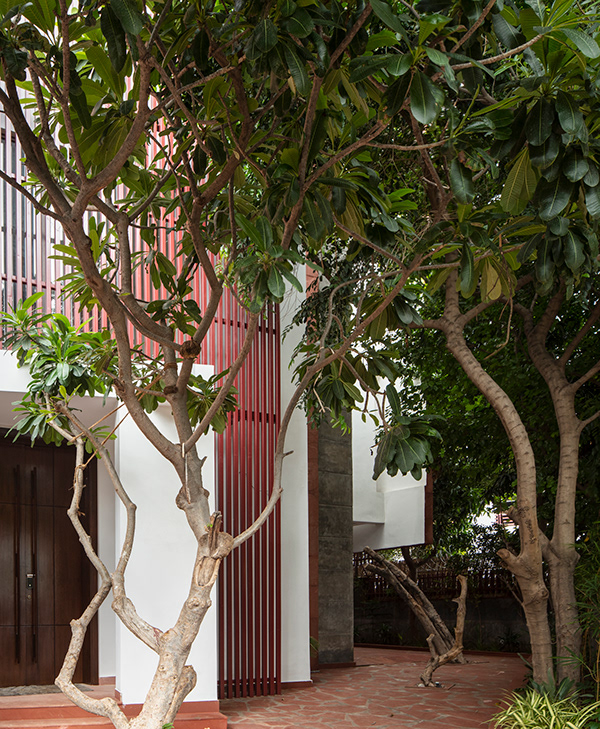 House With 49 Trees RENESA-2