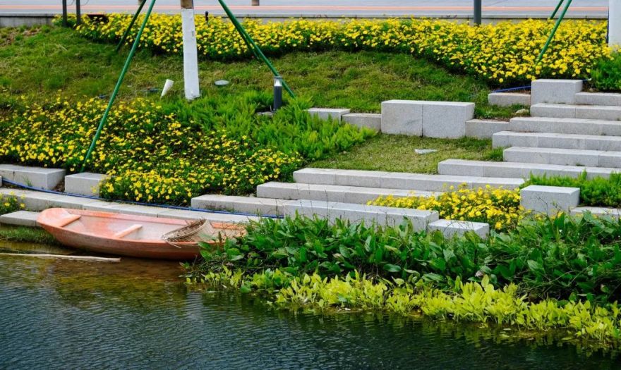 重生之河 | 广州大坦沙岛“蓝色命脉”的生态复兴-50