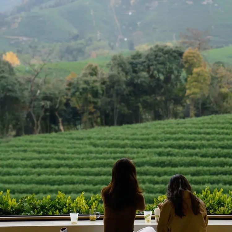 安吉观景平台及茶室丨中国浙江丨HATCH 汉齐建筑-28