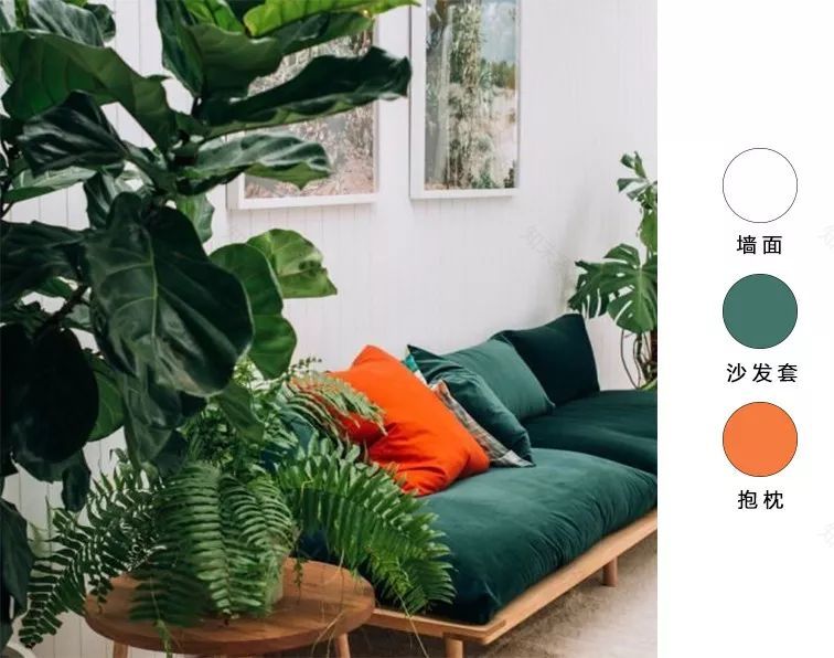 家居配色宝典 | 沙发软装搭配方案,美翻你的家-234
