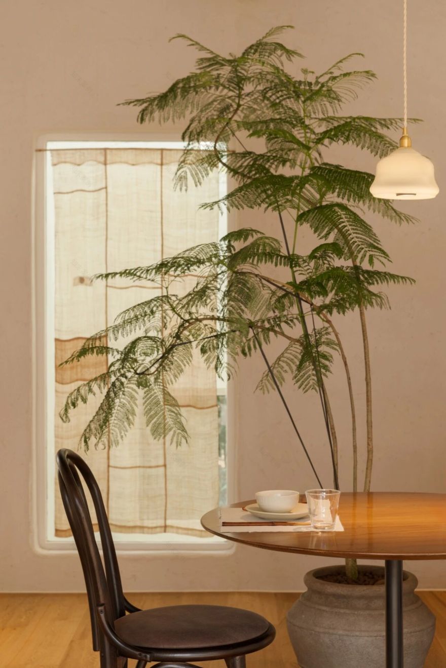 Osmanthus · 桂 · 山中料理丨中国杭州丨杭州观堂室内设计有限公司(空间),寸村传媒(标识)-1