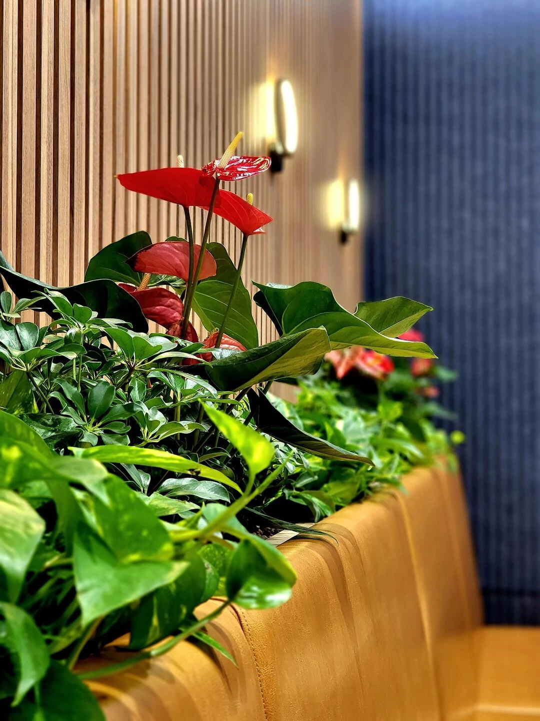 金融机构办公室丨新加坡-32