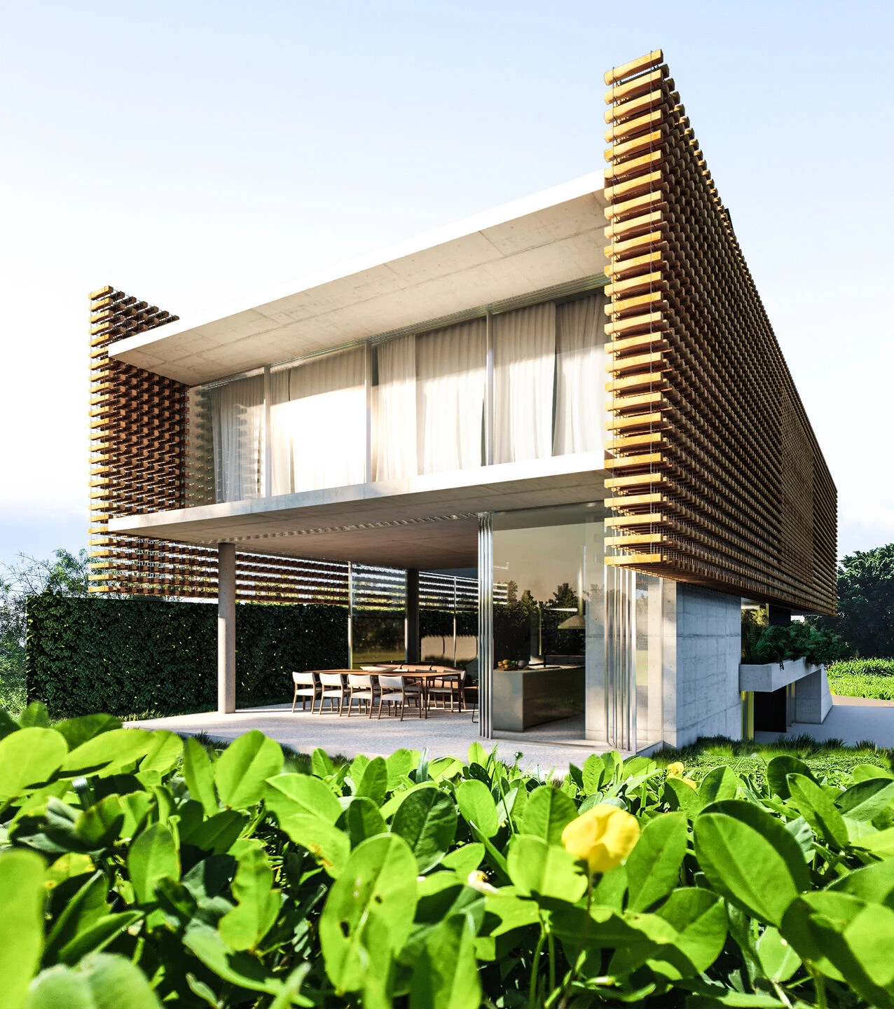 巴西 Aerada House丨巴西圣保罗丨Tetro Arquitetura e Engenharia-4
