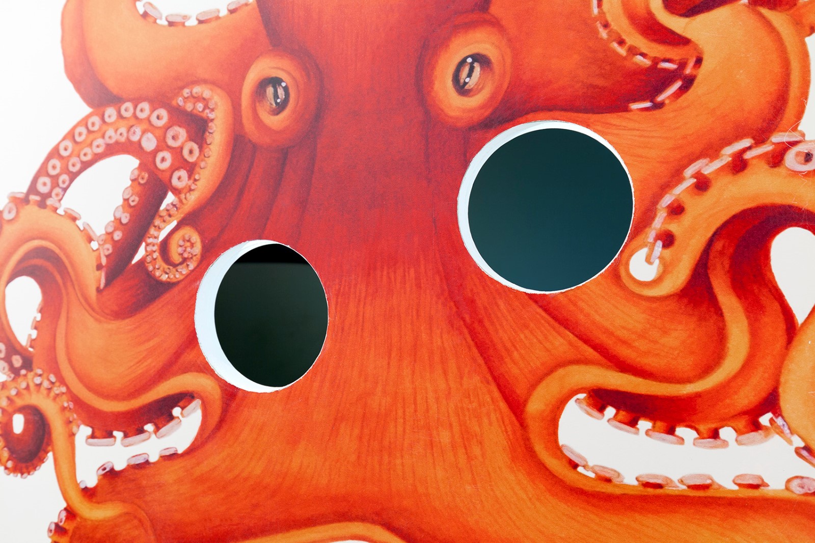 2060牛顿青年旅社，马德里 / Wanna One-64