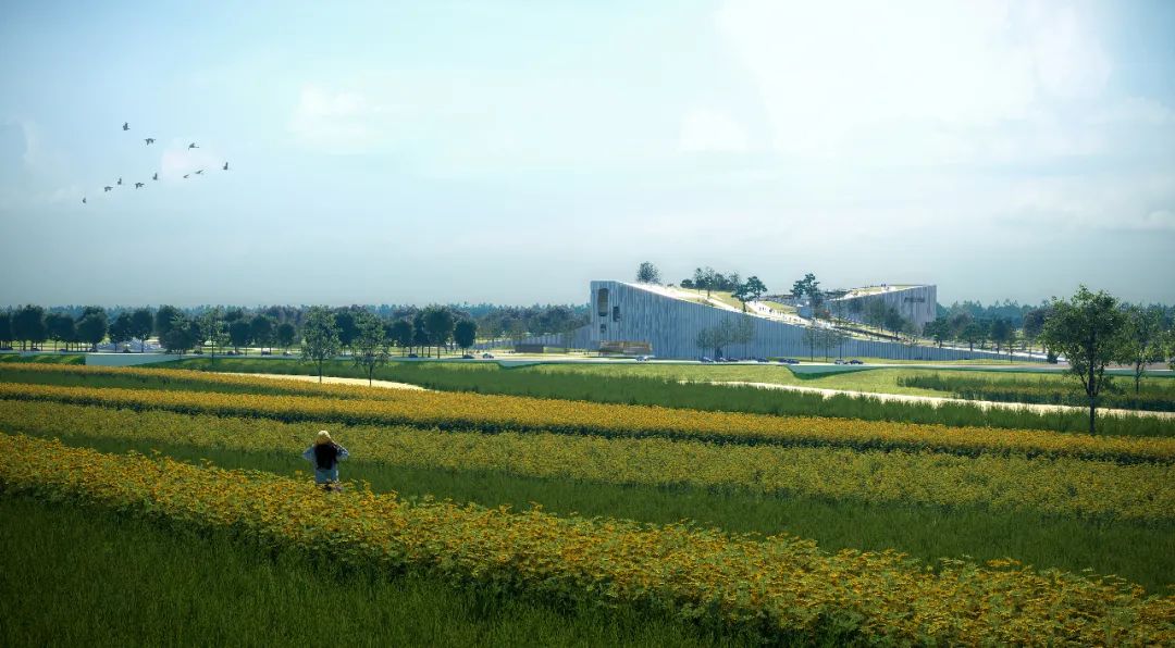 黄河国家博物馆丨中国郑州丨gmp·冯·格康,玛格及合伙人建筑师事务所,中国建筑科学研究院-18